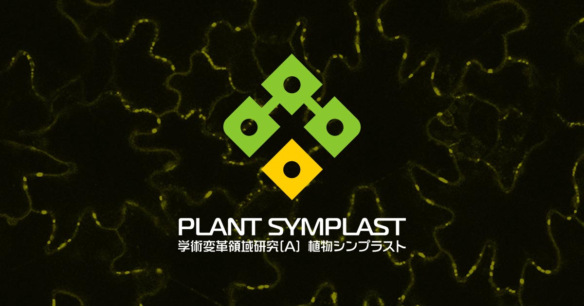 学術変革領域研究(A) 植物シンプラスト - plant-symplast.jp